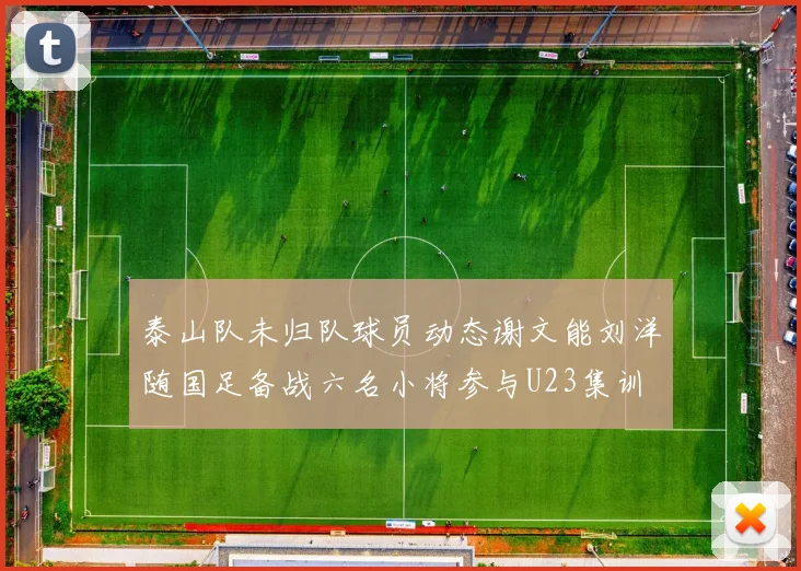 泰山队未归队球员动态谢文能刘洋随国足备战六名小将参与U23集训
